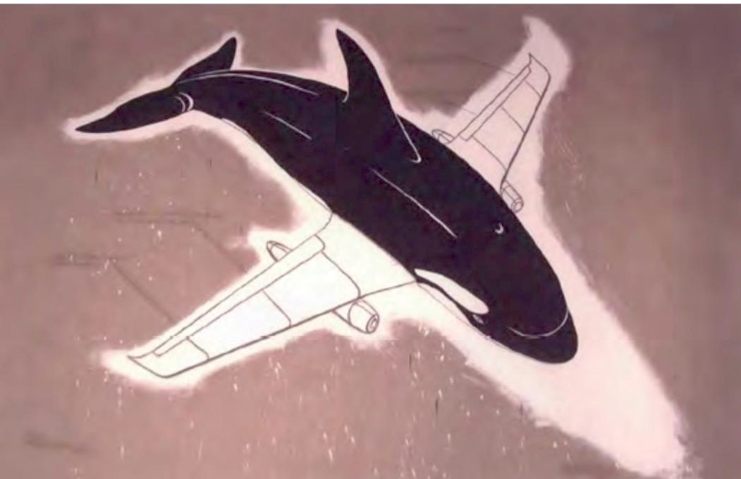 Illustration of a black orca fitted with swept-back airplane wings and jet engines, set against a mottled pink-brown background.
