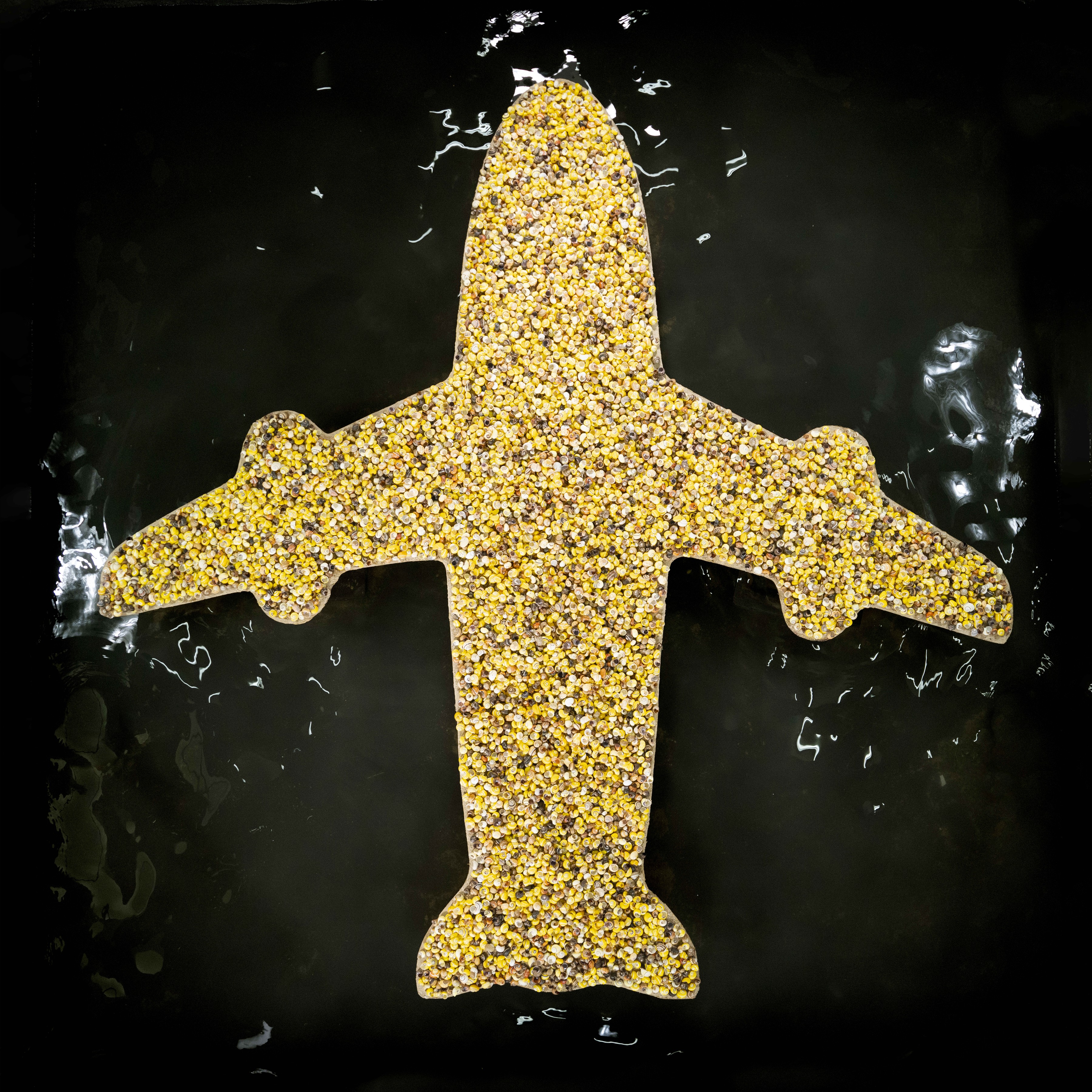 Overhead photograph of a jetliner silhouette formed entirely from small yellow and tan seeds or shell fragments, resting on a dark reflective surface.